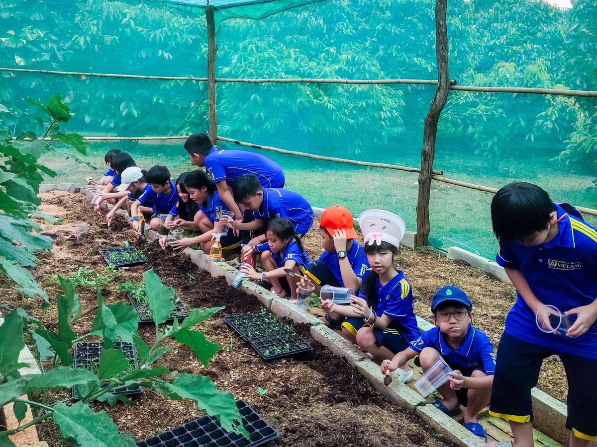 Học sinh Trường Việt Anh chăm sóc vườn rau — chạm đất, trồng cây là một phần của chương trình học hằng ngày