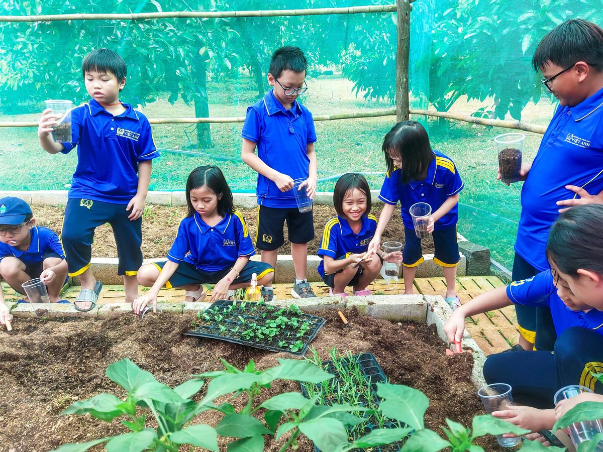 Mỗi học sinh tự tay gieo hạt, chăm cây — tự lập bắt đầu từ những việc nhỏ như thế này