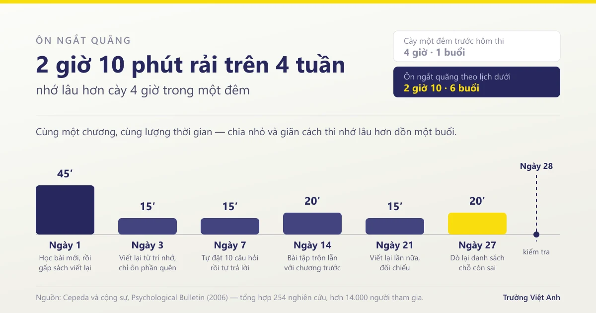Học ít hiểu nhiều: cách học hiệu quả cho học sinh THCS–THPT