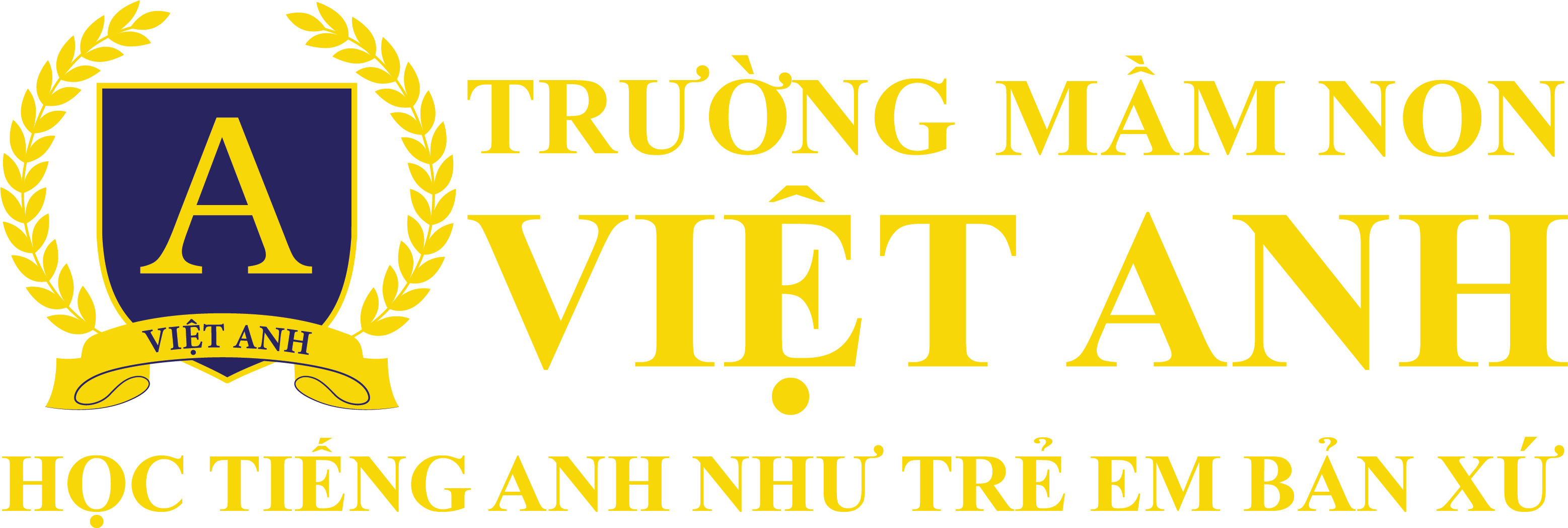 Trường Mầm Non Việt Anh