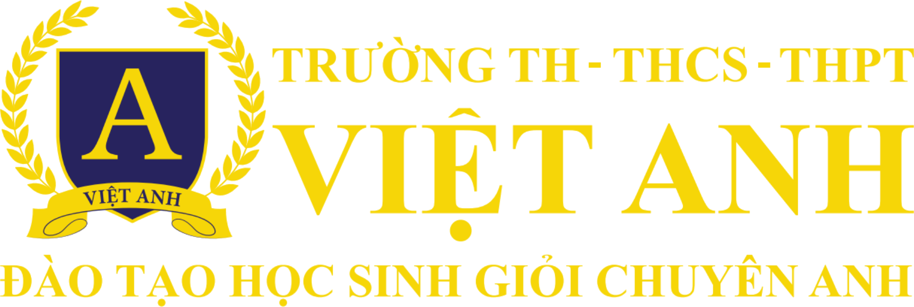 Trường TH - THCS - THPT Việt Anh