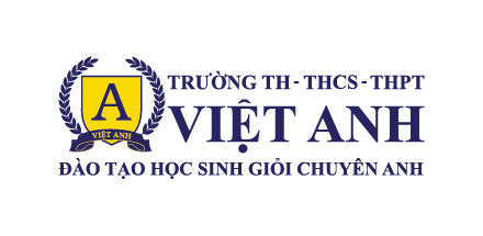 Trường Việt Anh