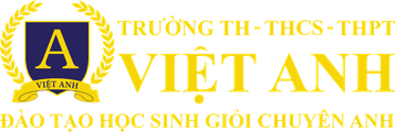 Trường Việt Anh