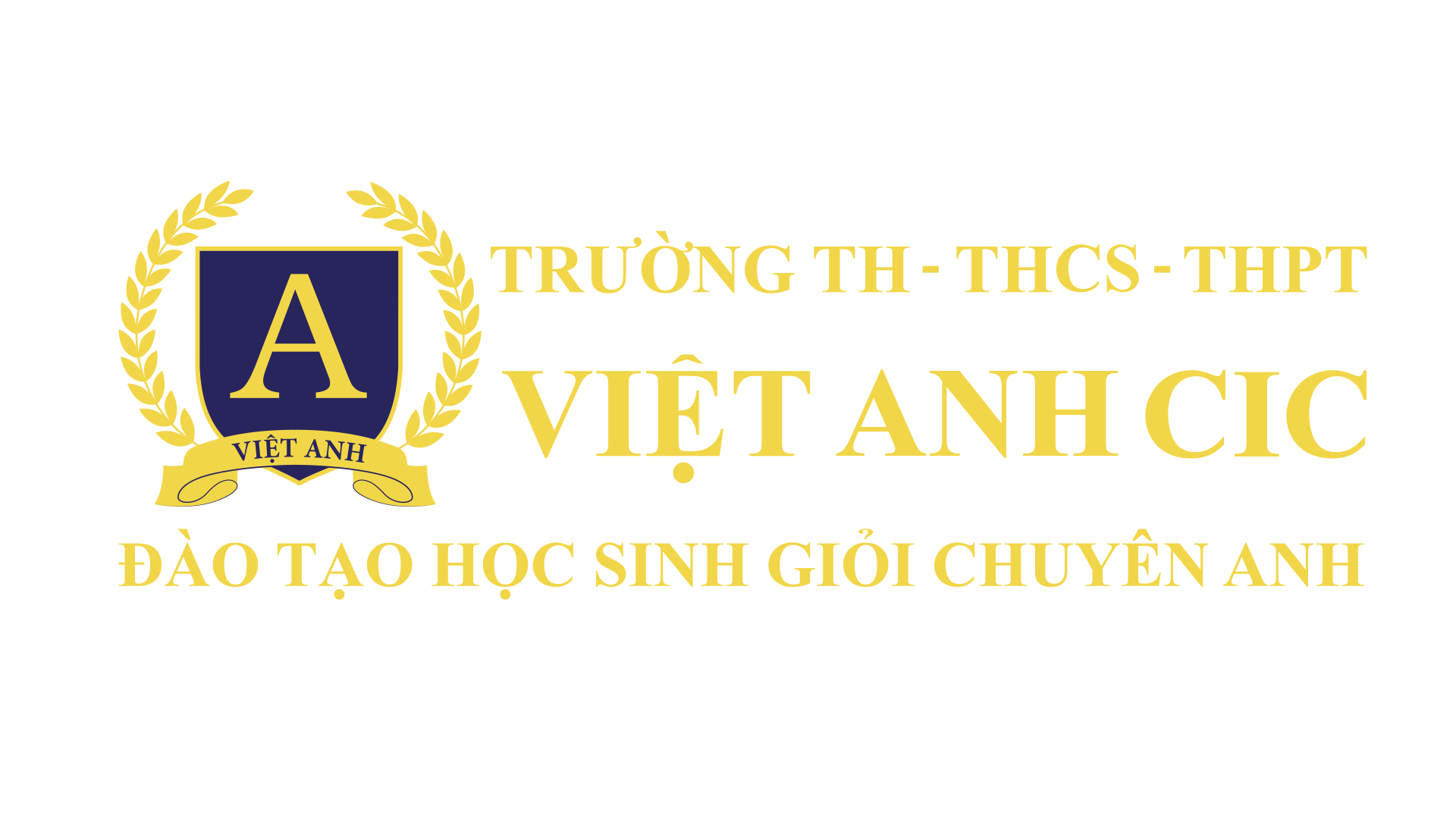 Trường Việt Anh