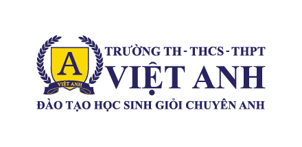 Trường TH - THCS - THPT Việt Anh