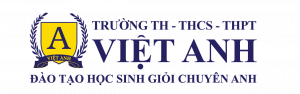 Logo Viet Anh Oct 2020